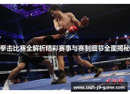 拳击比赛全解析精彩赛事与赛制细节全面揭秘