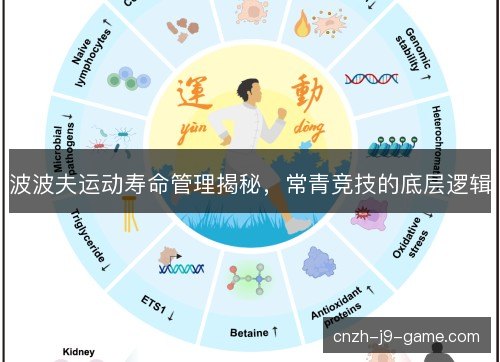 波波夫运动寿命管理揭秘,常青竞技的底层逻辑 波波夫运动寿命管理揭秘,常青竞技的底层逻辑