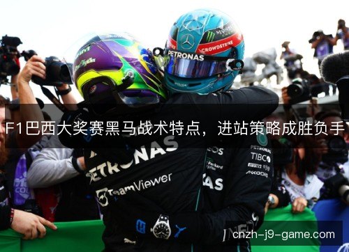 F1巴西大奖赛黑马战术特点,进站策略成胜负手 F1巴西大奖赛黑马战术特点,进站策略成胜负手